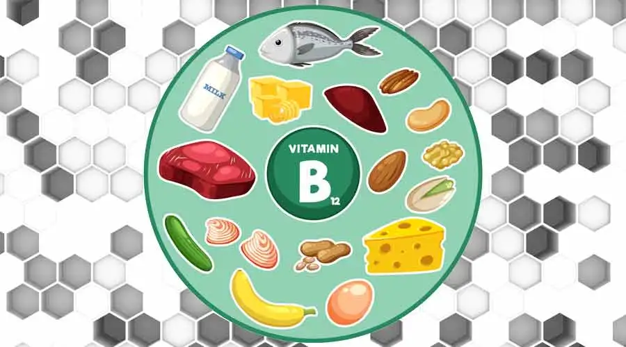 Vitamin B12 foods