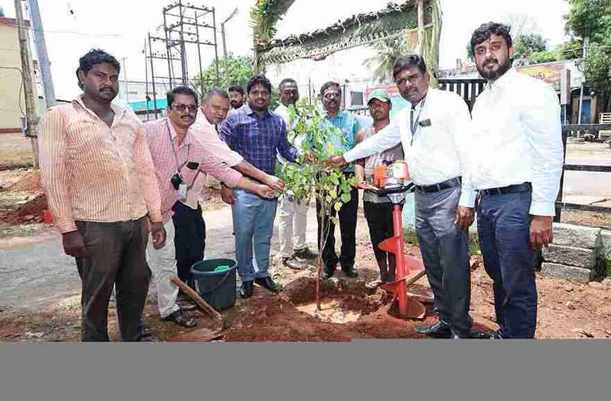 tree planting process in coimbatore city