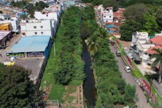 An Aerial View Of The Miyawaki Forest Near Kurichi Tank in Coimbatore