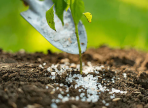 shutterstock-1454013152-fertilizer-dealers-7-mr8fv