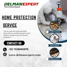 DelmanExpert Pest Control