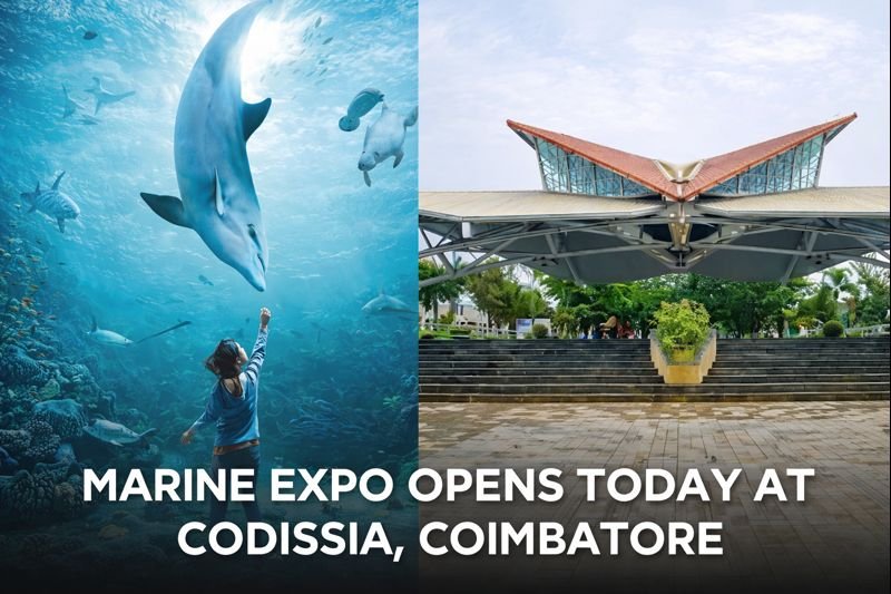Visitors experiencing marine life displays at the Marine Expo at CODISSIA Coimbatore