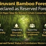 Siruvani bamboo forest reserved forest area in Coimbatore Western Ghats