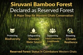 Siruvani bamboo forest reserved forest area in Coimbatore Western Ghats