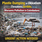 plastic dumping Ukkadam Coimbatore affecting birdlife and increasing pollution near lake areas
