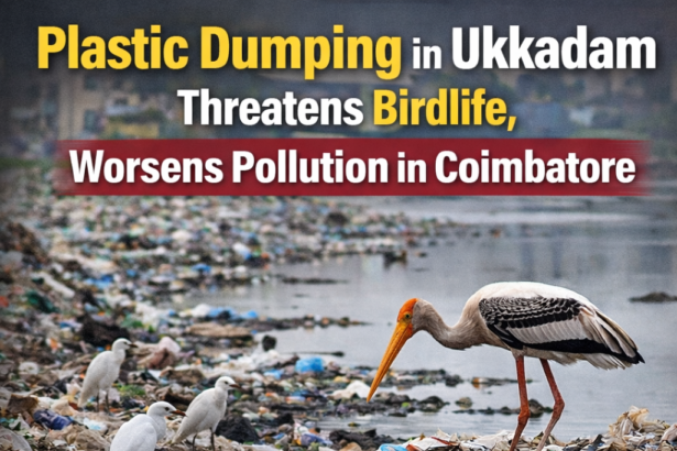 plastic dumping Ukkadam Coimbatore affecting birdlife and increasing pollution near lake areas
