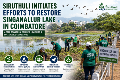 Volunteers and Siruthuli members carrying out restoration work at Singanallur Lake in Coimbatore to improve biodiversity and water quality.