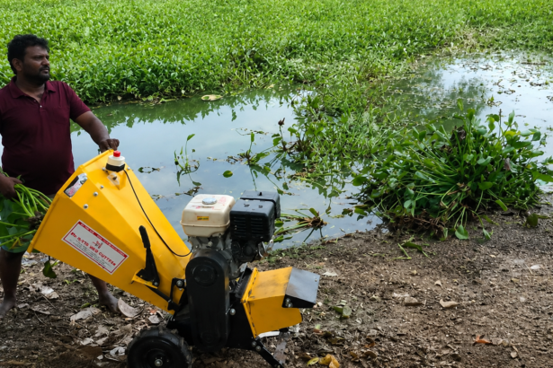 Man operating yellow shredder machine to convert water hyacinth into mulch at Sulur Big Tank Coimbatore